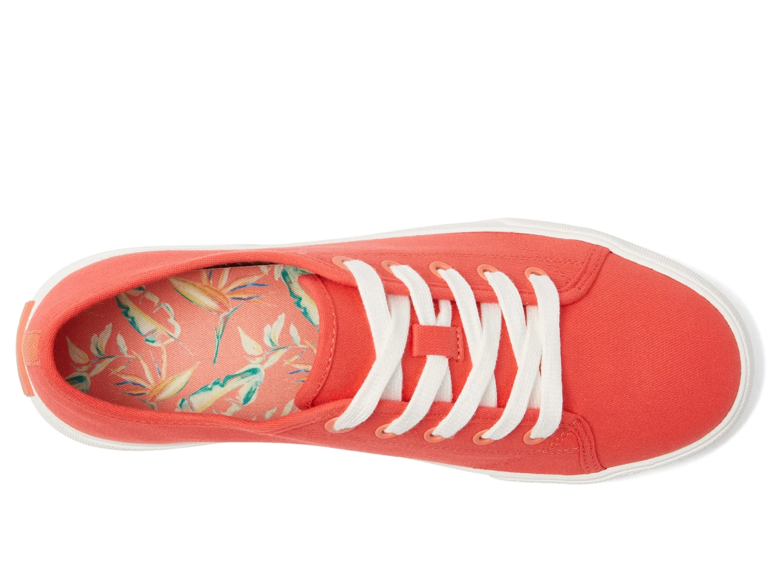 VIONIC Oasis - Image 2